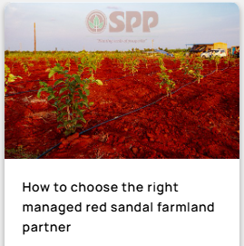 How to choose the right managed red sandal farmland